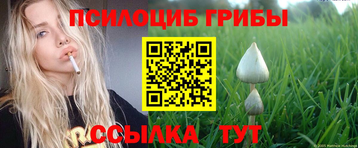 Стерлитамак  Псилоцибиновые грибы Magic Shrooms  Вход с VPN 